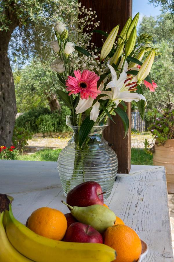 Villa Elaia Suites & Apartments No.6 Gaios Luaran gambar