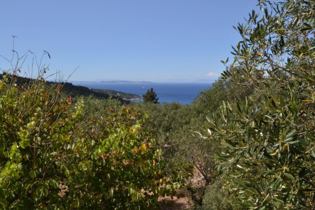 Villa Elaia Suites & Apartments No.6 Gaios Luaran gambar