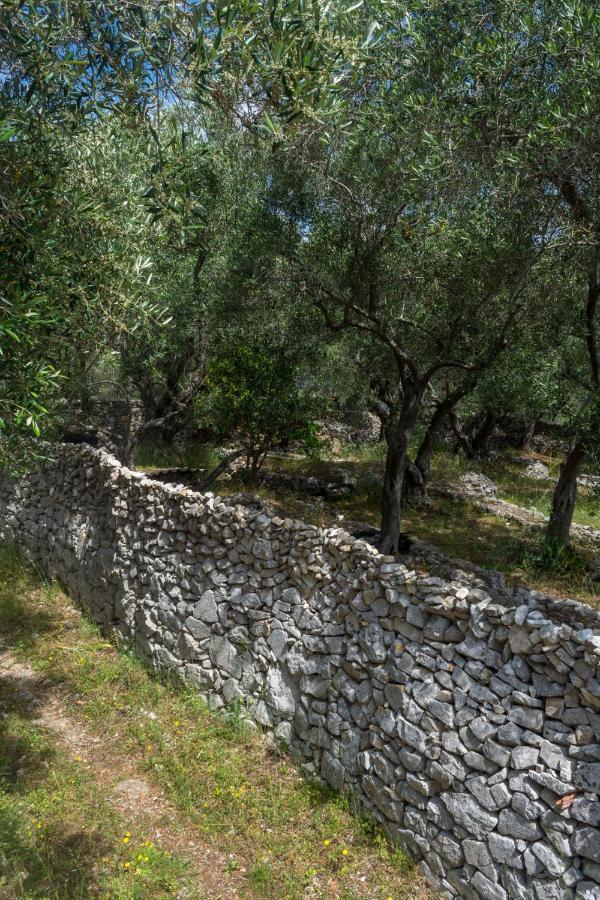 Villa Elaia Suites & Apartments No.6 Gaios Luaran gambar